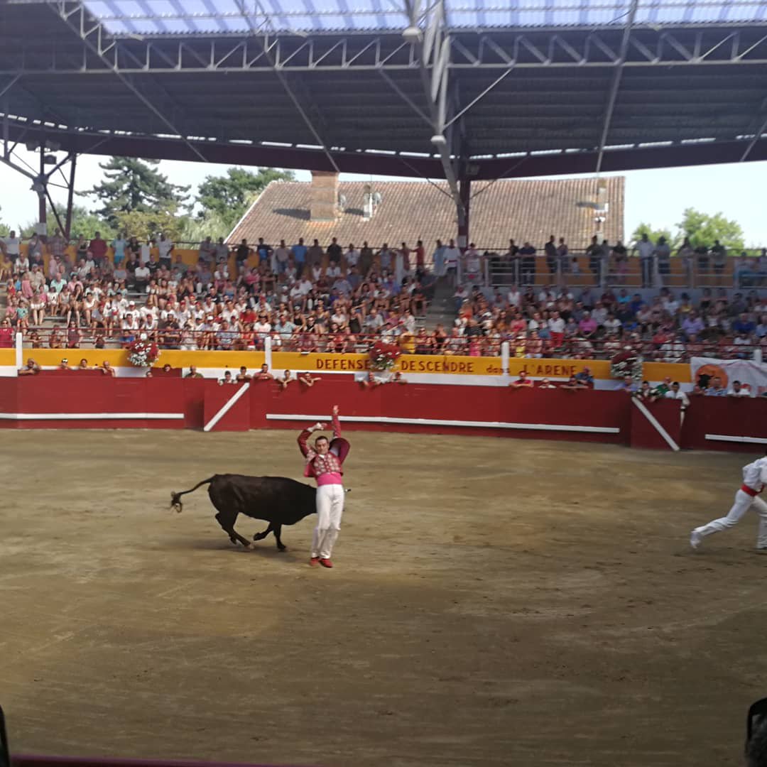 ArielleGirot's tweet photo. #courselandaise à #Pomarez. Grand respect des vachettes 🐃 qui ne sont jamais touchées par les "écarteurs" et les "sauteurs". Belles figures et courage des sportifs. Ambiance populaire et… https://t.co/VCZ1oXIN8D https://t.co/UreTkq0h7U