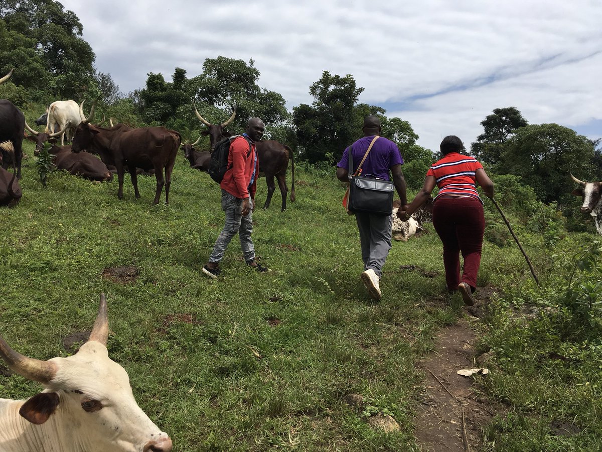 okwen's tweet photo. #DidYouKnow @mnkangu #gchallenges #GlobalHealth #Star is retracing the 2 hrs trekking track taken by pregnant mothers to get to #healthcare in #cameroon? #ToughJob @UNFPACameroon @CanWaCH @WHARC1 @WHOAFRO @realSanniYaya @ComfortMussa @SophieNgassa @LeahHardingAJE @ebase_africa https://t.co/vgFjF0rsag