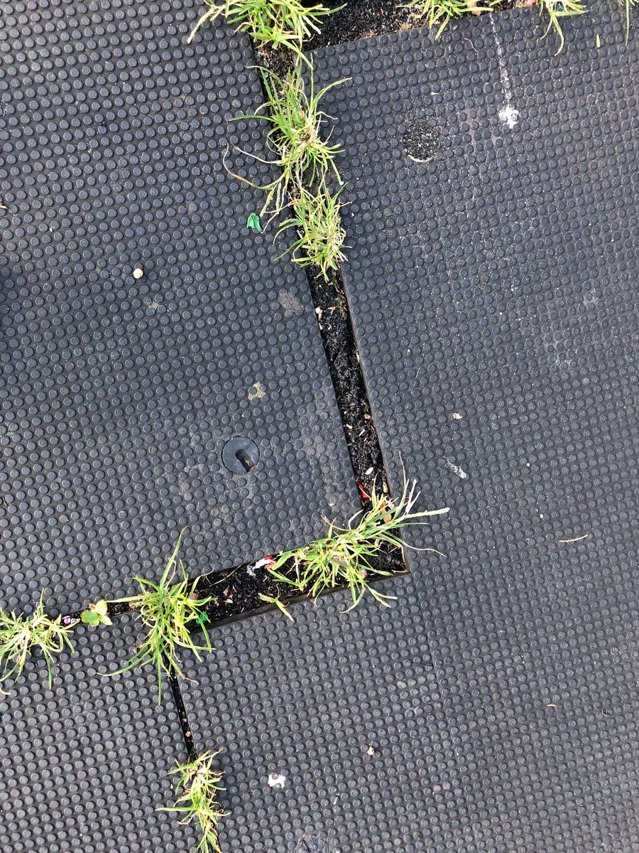 Snejana Farberov tweet media