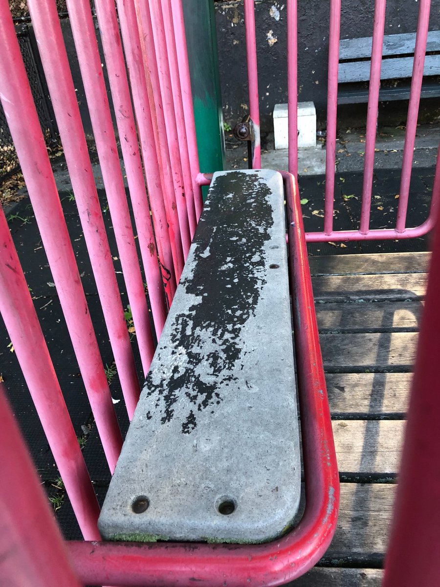 Snejana Farberov tweet media