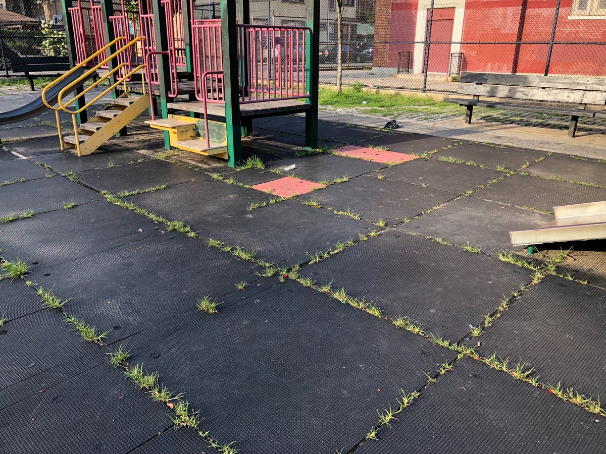 Snejana Farberov tweet media