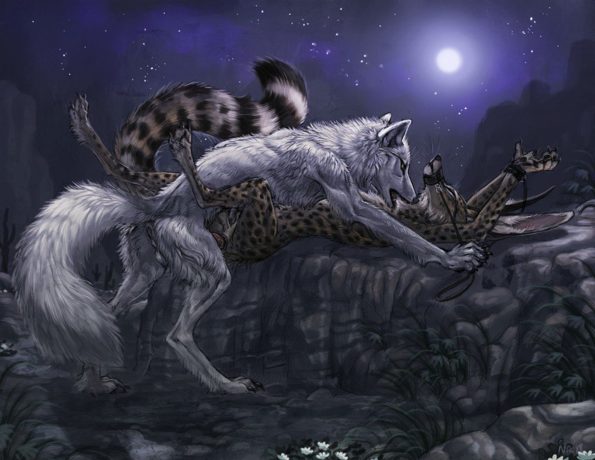 Pup Leo (@pupleo_) on Twitter photo 