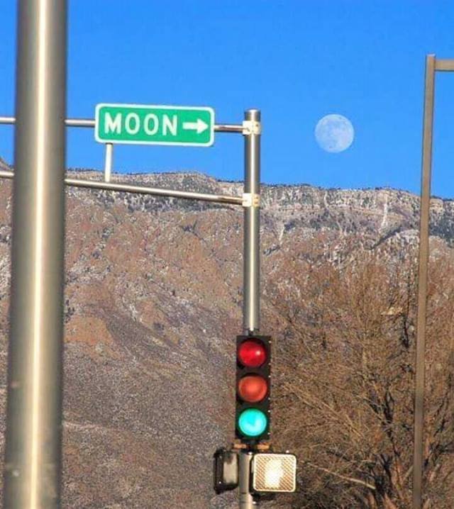 Coming with us?

#moon #lunar #space #SpaceExploration #universe