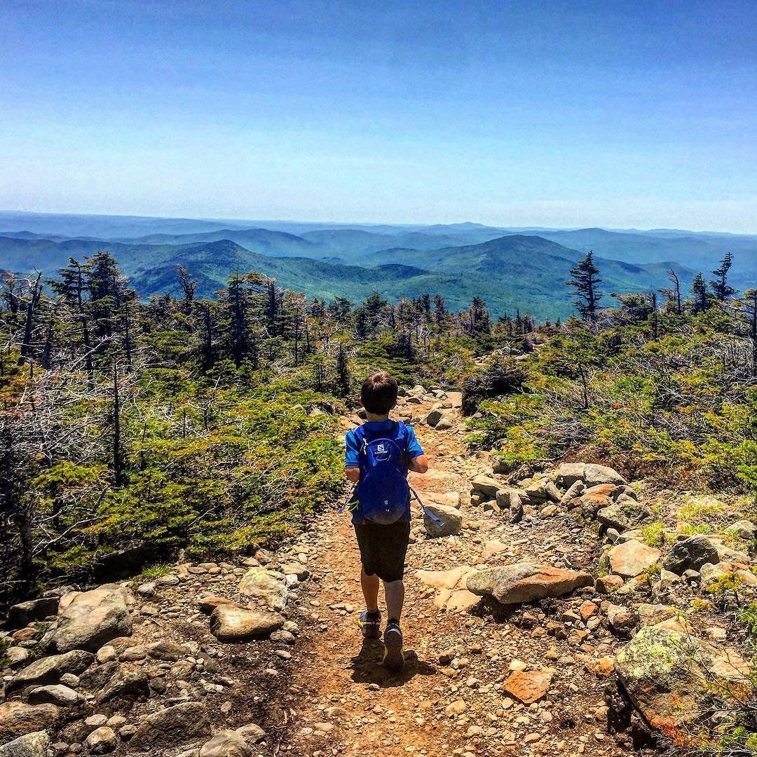 whitemts's tweet photo. "Don't look back-you're not going that way."- Mary Engelbreit 
📷=The Adventurous Family #whitemountains #mountmoosilauke #mountainmonday #motivationmonday #moveforward #summertime #summerfun #hikethewhites #explore #getoutsidenh #nh #love https://t.co/sWMYWOs6nU