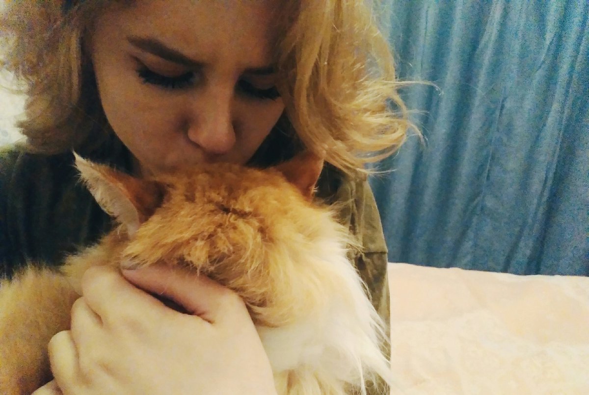 starchakovskaya's tweet photo. Люблю кота. https://t.co/8BBLJb7dHx