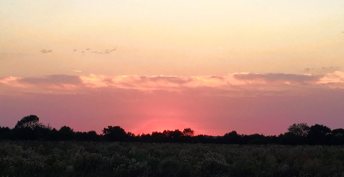 VeronicaJoPo's tweet photo. A lovely pink #sunset #monday #sharemondays #august #endofheatwave #cambridgeshire #thefens @alovelynature @StormHour @WildlifeTrusts @ElyIslandPie https://t.co/di8Vmcquvd