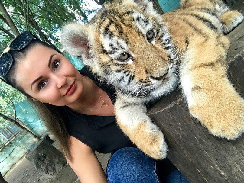 Вася Руснак (@ckpsbir0kmvufcf) on Twitter photo 