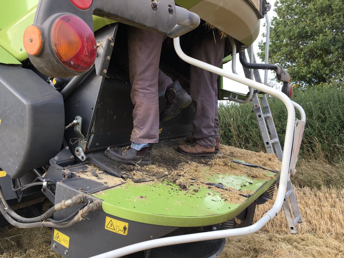 And it was all going so well!