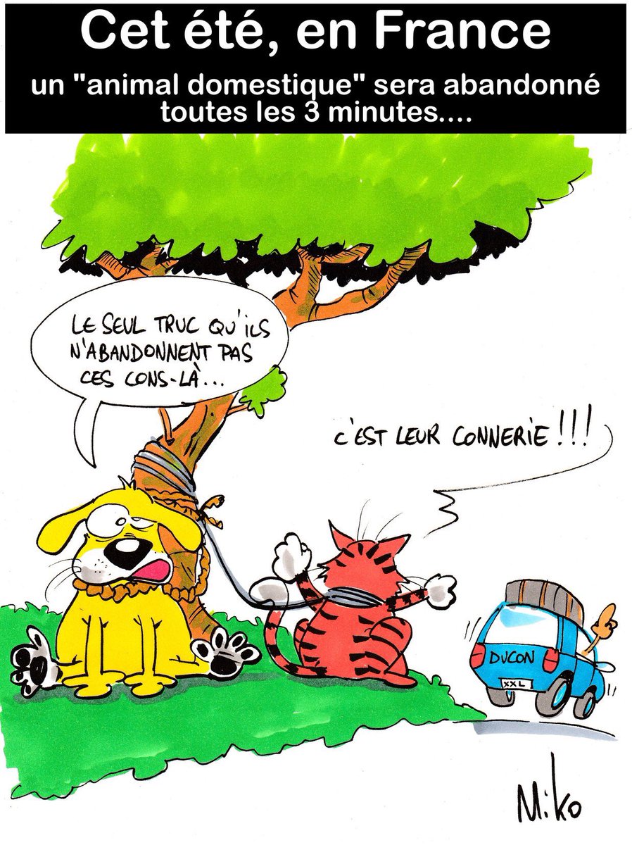 mikodessinateur's tweet photo. À quand le #permis #obligatoire pour #posseder un #animal de #compagnie en #France pour #eviter que des #cretins continuent d’#abandonner en #masse leurs #chiens et #chats #sacrifies sur l’#autel de la #consommation! #honte #spa #wallonie https://t.co/gBMaZURrn5
