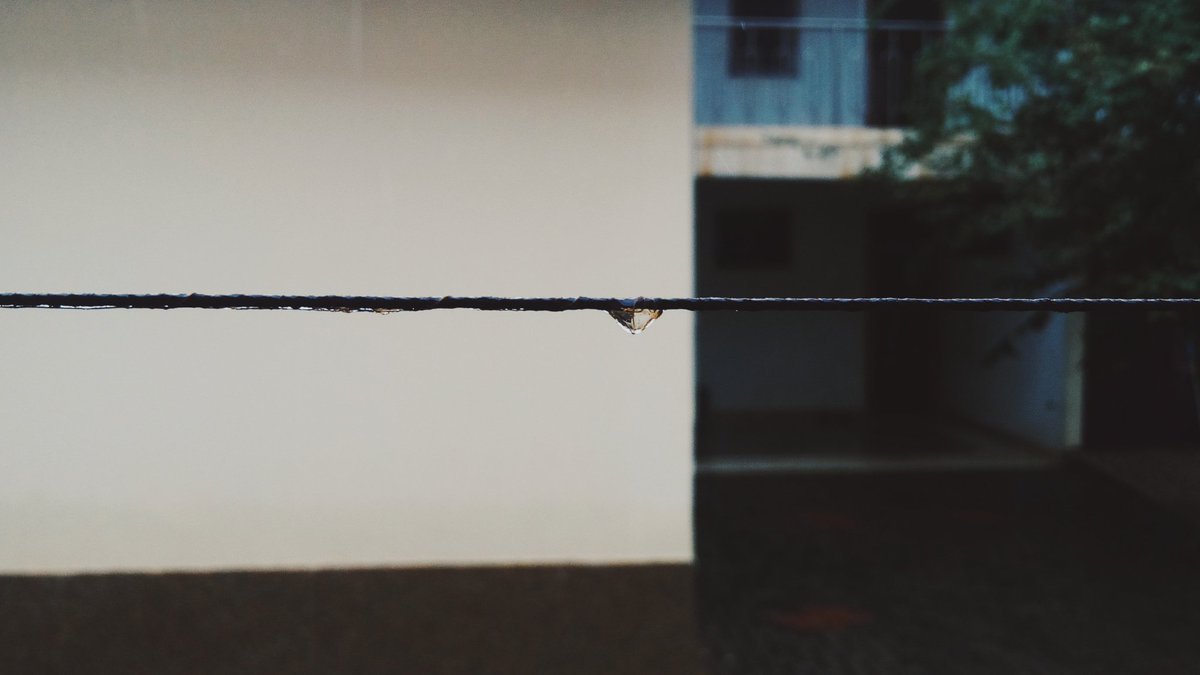 godspecie_'s tweet photo. Edition 2 of #phonephotography ๐ท๐
#TECNOmobile #CamonCX #GloUpWithCX #photography #LowLight #nature #VSCO #VSCOcam https://t.co/e5VkdYbHEQ
