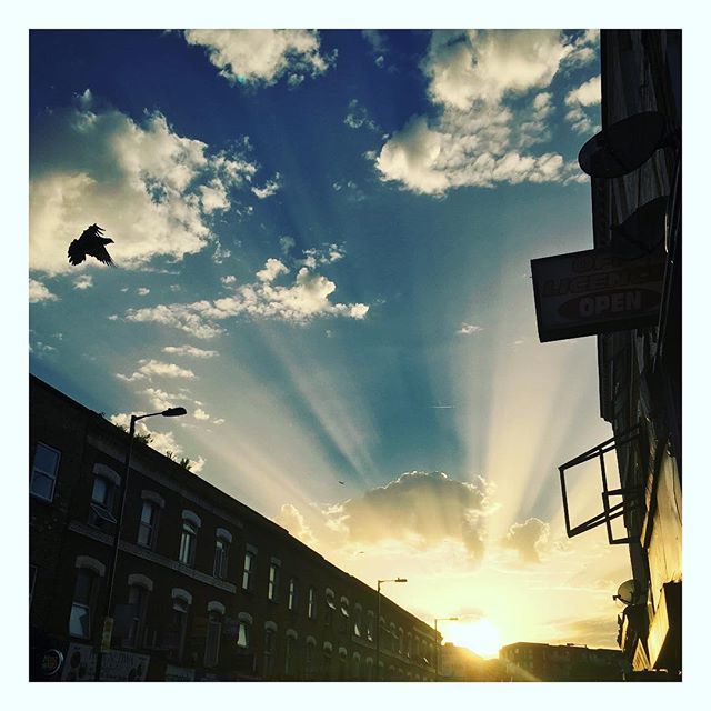 LeanJs's tweet photo. The heatwave continues in London tonight... 😎☀️🔥
.
.
.
.
.
.
.
.
.
#londonlife #londontech #londonist #london🇬🇧 #londonsummer #londonsummertime #summerlovin #sunny #heatwave2018 #heatwavevisual #heatwave🔥 #leanmethodology #leanUX #leandev #leande… https://t.co/6QCI9vF8ty https://t.co/BDwH99BwXp