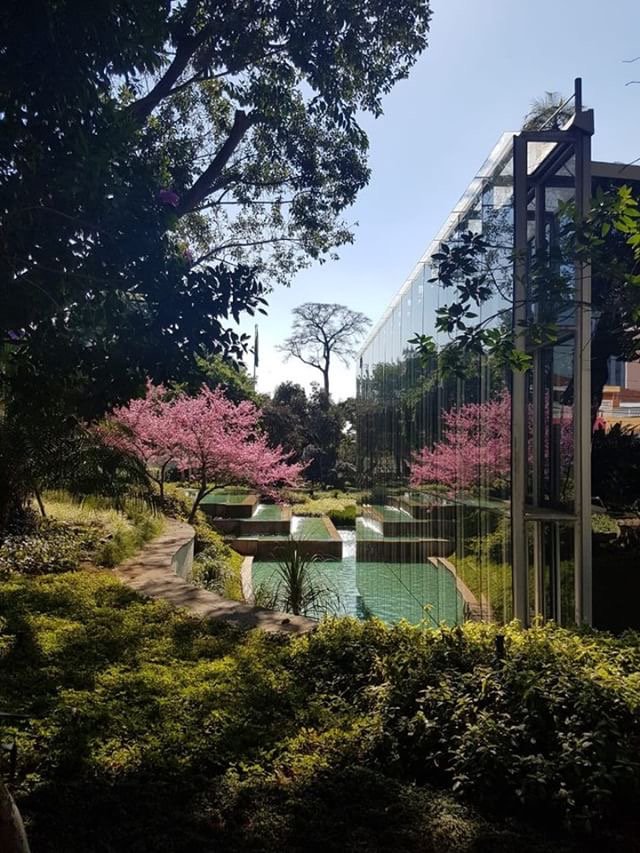 ExperianJobs's tweet photo. #GlobalMonday- Doesn't Serasa Experian's office in São Paulo, Brazil look incredible?
#ExperianLife #SerasaExperian #OneExperian #Experian @serasaexperian @Experian https://t.co/Z1CdgvnbQt