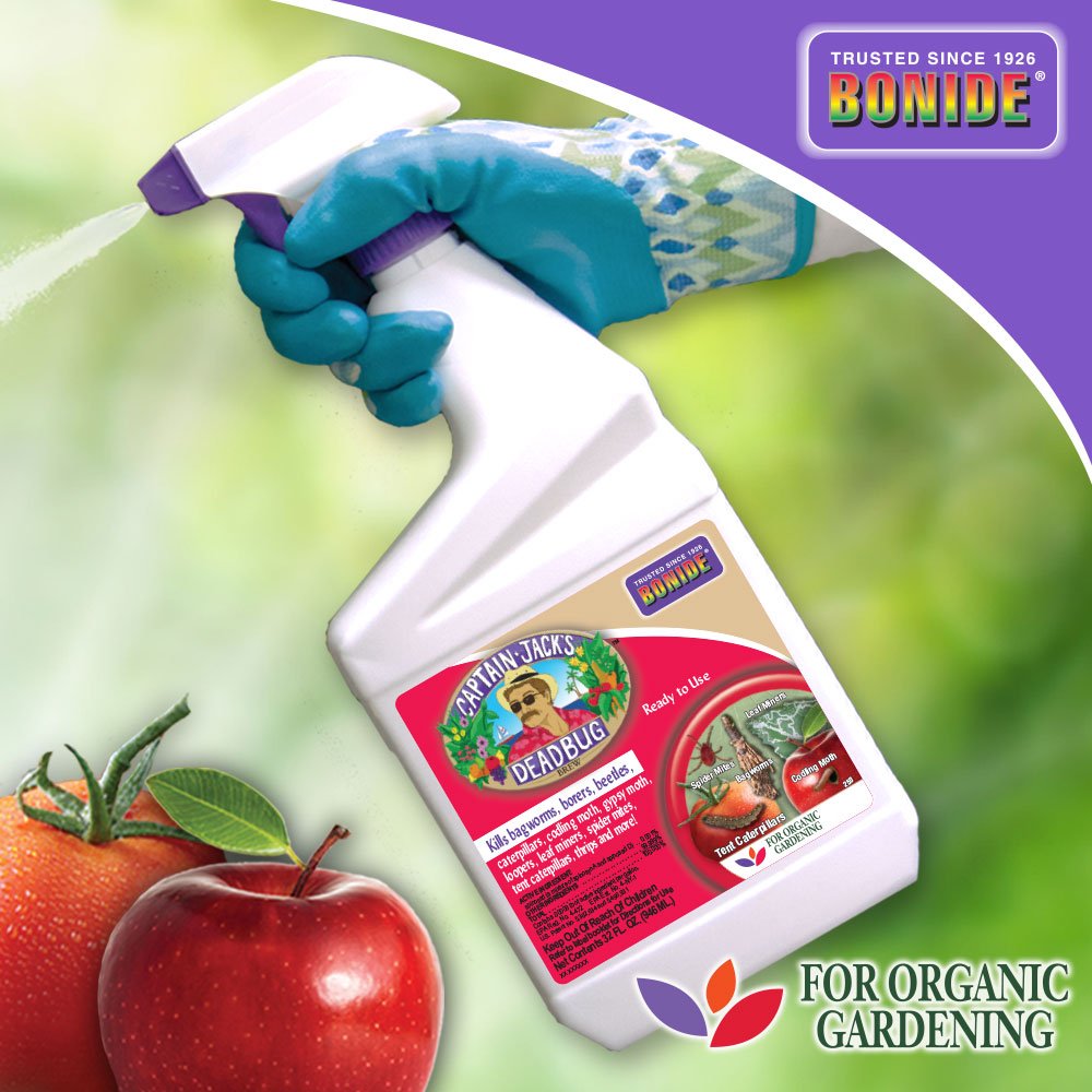 Bonide's tweet photo. Captain Jack's Deadbug Brew is approved for organic gardening to control a wide range of listed insect pests. Use on listed vegetables, citrus, fruits, flowers and ornamental. Made with Spinosadยฎ.
#bonide
#captainjacksdeadbugbrew https://t.co/zWaS47nih2