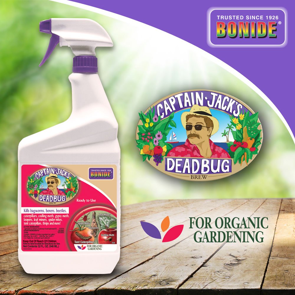 Bonide's tweet photo. Captain Jack's Deadbug Brew is approved for organic gardening to control a wide range of listed insect pests. Use on listed vegetables, citrus, fruits, flowers and ornamental. Made with Spinosadยฎ.
#bonide
#captainjacksdeadbugbrew https://t.co/zWaS47nih2