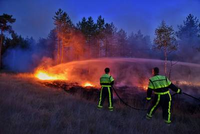 Bosbrand bij Oude Rielsebaan in Tilburg, kans op uitbreiding zeer hoog dlvr.it/Qf1Lxn