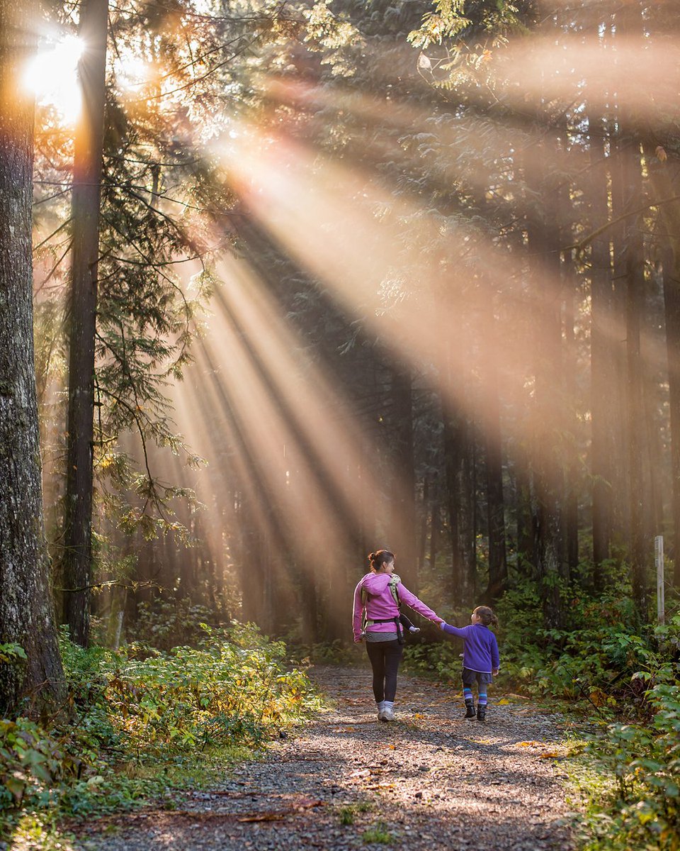DianesLingerie's tweet photo. We hope you enjoy this BC Day holiday with your loved ones in this beautiful province we live in. 🌊☀️🌲 Image taken by @souvenirpixels
・・・
#BCday #BCDay2018 #BCdayweekend #BCdaylongweekend #explorebc #bc #beautifulbc #britishcolumbia #beautifulbritishcolumbia https://t.co/ztRaxUF5T1