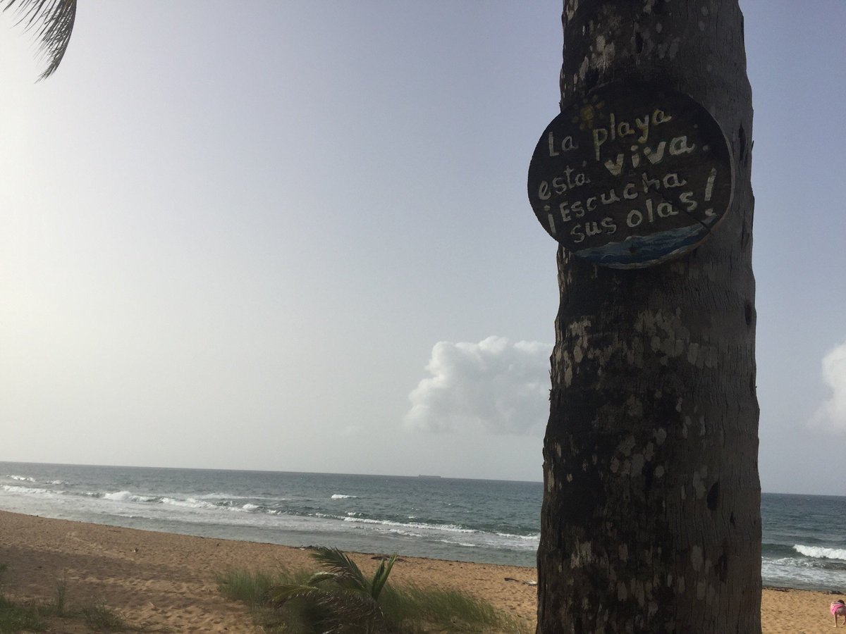 Rafy1974's tweet photo. Back home π΄ #latesesh (@ Playa Aviones) https://t.co/D8HW5u88TZ https://t.co/jwCyOCBgkC