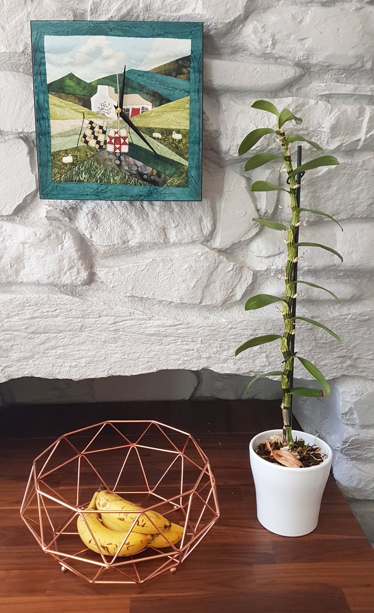 quiltedpatchco's tweet image. What's the time? 👀
11 designs of lovely wall clocks available!
thequiltedpatch.co.uk
#thequiltedpatchco