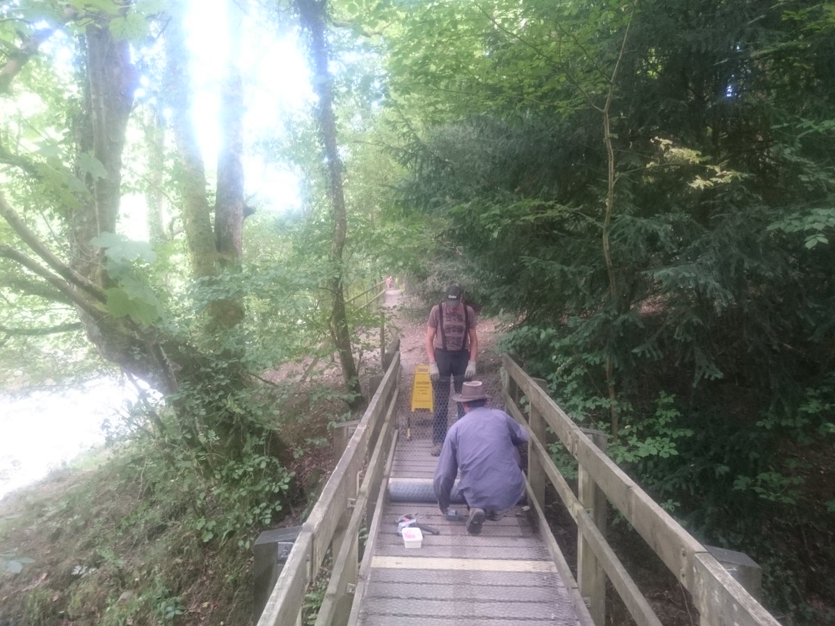 Montgomeryshire WT tweet media