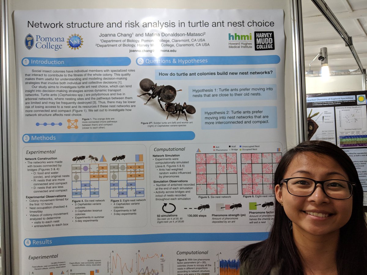 MatinaDonaldson's tweet photo. Are you interested in #networks? Love #turtleants? Come stop by Joanna Chang's poster, number 2.5 now at #iussi2018 @harveymudd #undergradresearch @pomonacollege https://t.co/dnaJdIcNhh