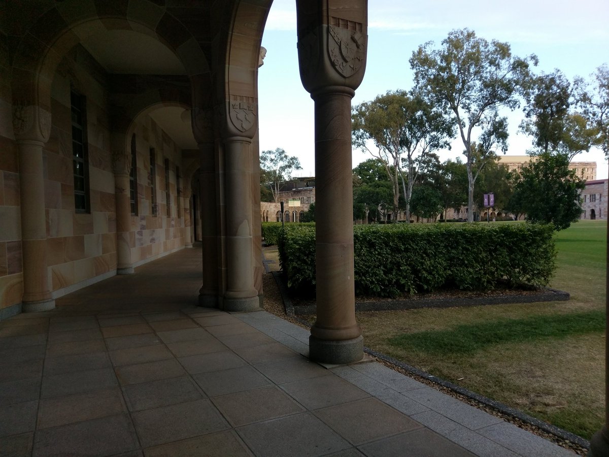 JaszzyJas's tweet image. #UQ home of the iconic #Brushturkey - it's good to be back! I miss this place when I'm away @UQ_News