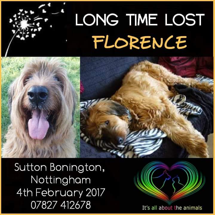 #FindFlorence tweet media