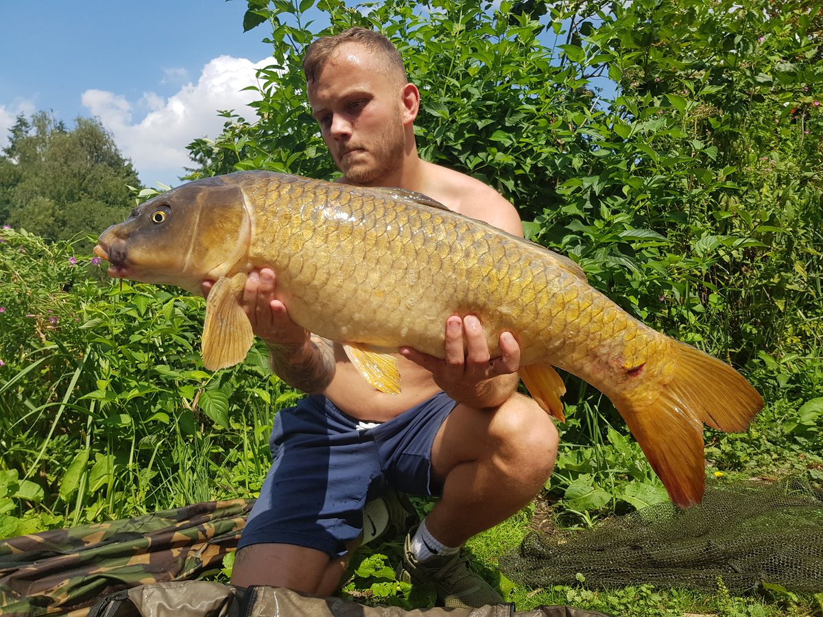 AlphaGodCharlie's tweet photo. Absolutely buzzing to break the 20lb mark with this 21.9lb common, a new PB Caught in 32 degrees heat followed by another 6 fish. One being this stunning ghosty at 18.4lb! Now on to the 25lb! @NeilSpoons @urban_bait @DeanMacey #StrawberryNutcracker https://t.co/uisCTqhSxH