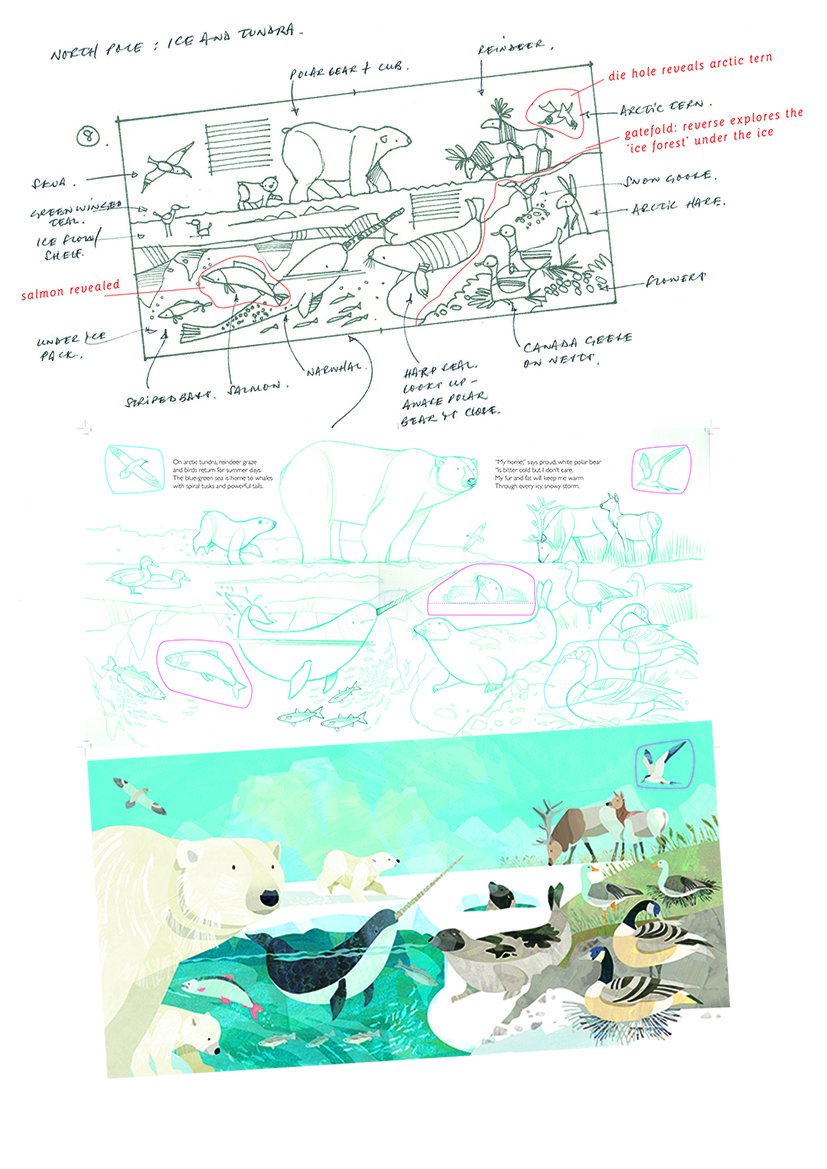 jonnylambert3's tweet photo. A 'behind the scenes' sneaky peak at three stages of the polar spread. From my initial scribble to final scratch and tickle #WhereintheWild @LittleTigerUK https://t.co/YpNtpqiryI