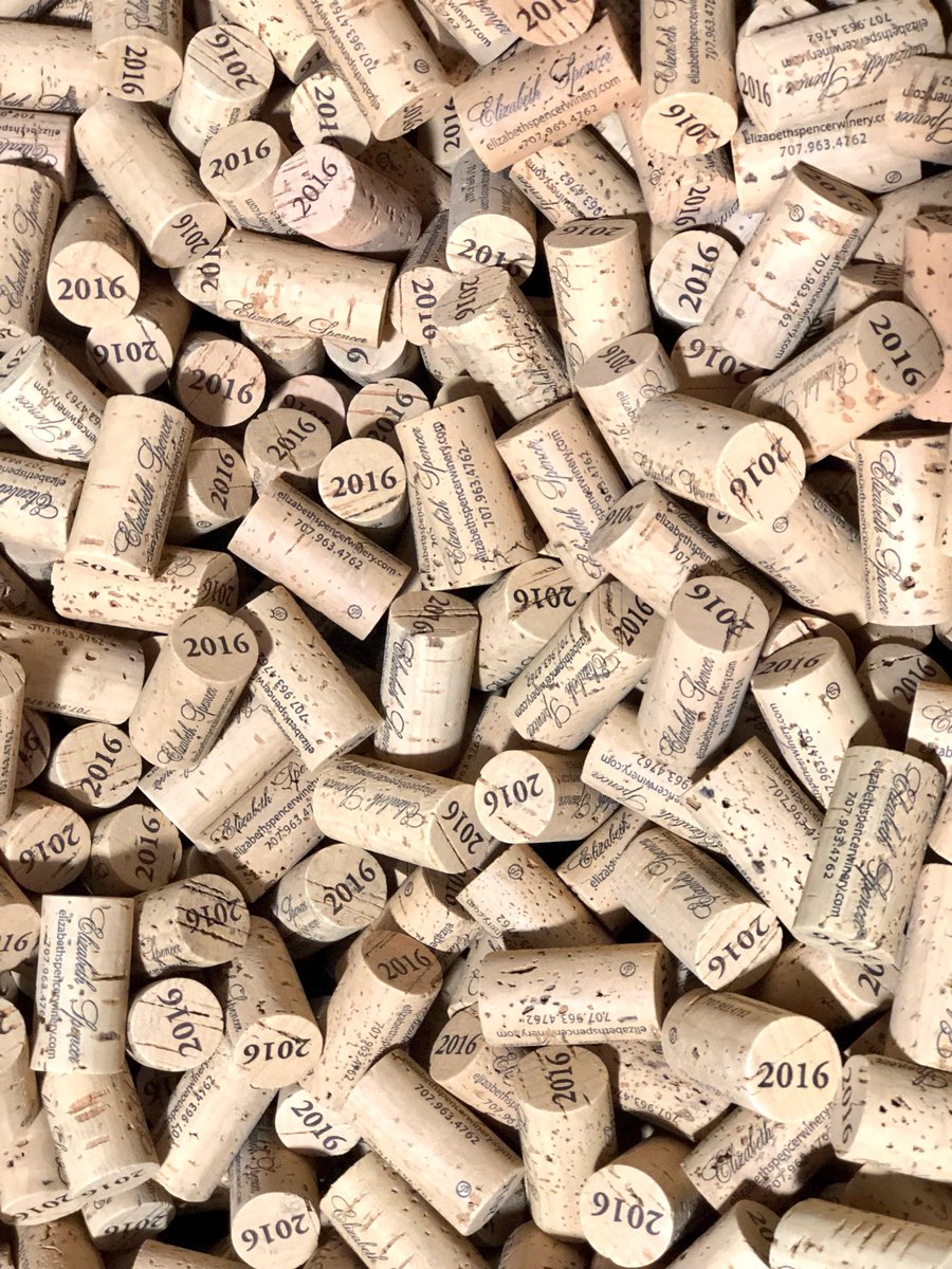 Elizabeth Spencer tweet media