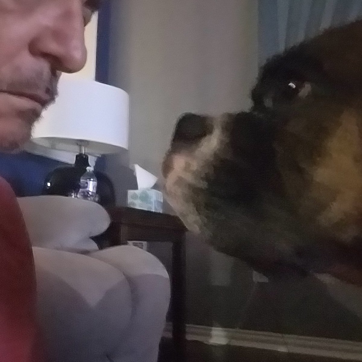 My boy Rocky challenged me last night to see who blinks first. He won☹