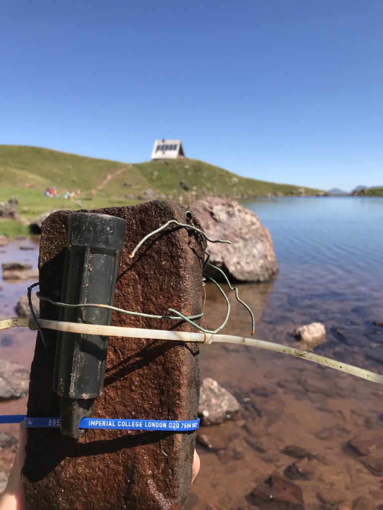 Our trusty Imperial College datalogger lives to collect another years data from Lac Arlet! In this Pyrenean lac dieoffs of Midwives toads from chytridiomycosis are linked to changes in seasonality imperial.ac.uk/news/175447/cl… @ChytridCrisis