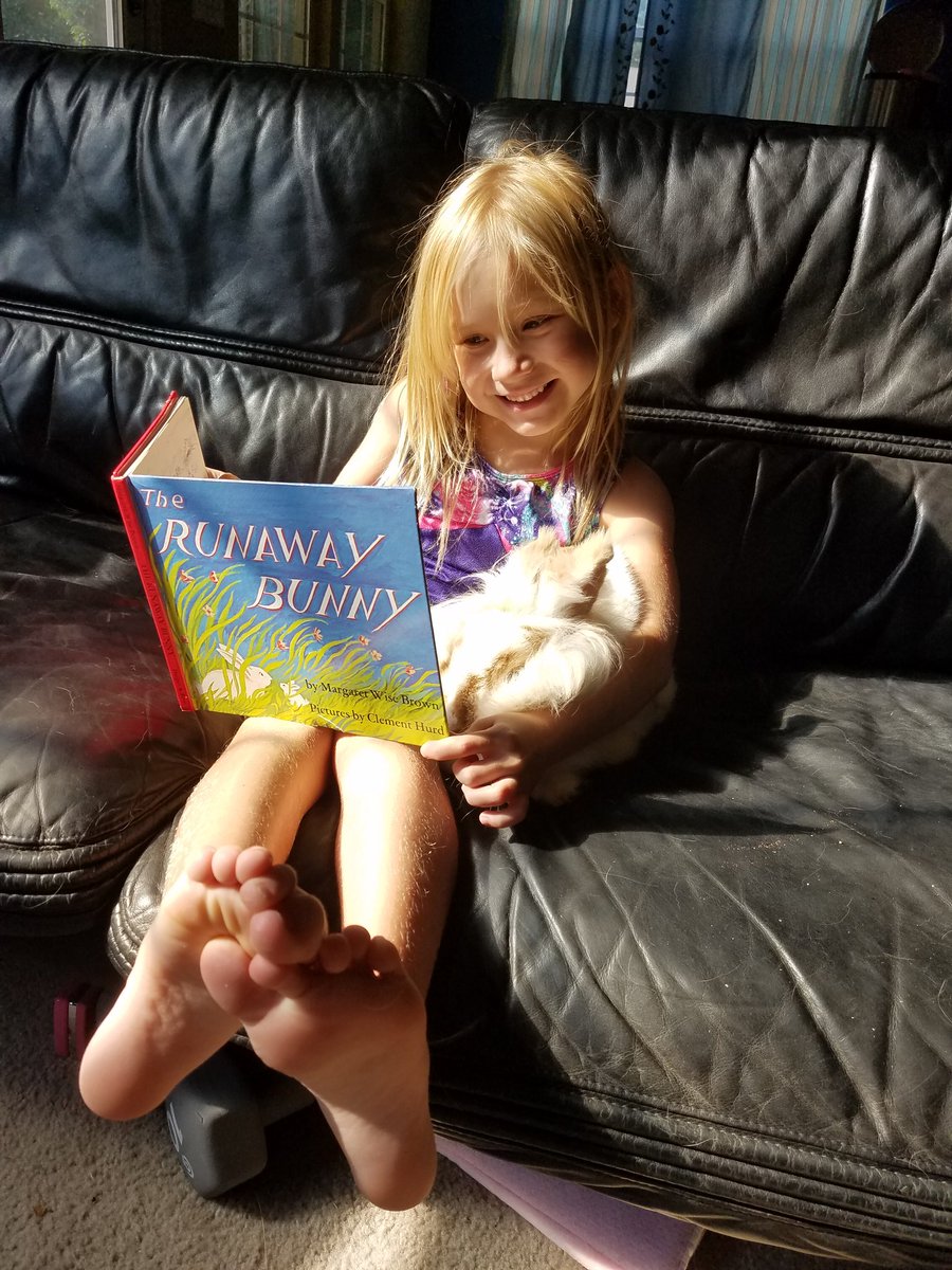 ljwoodward80's tweet photo. Maia reads to one of our pet bunnies, Celery Stem Woodward, so that she will feel loved and not be a Runaway Bunny! @HunterPrincipal #readingcompanions https://t.co/5OToSMxas7