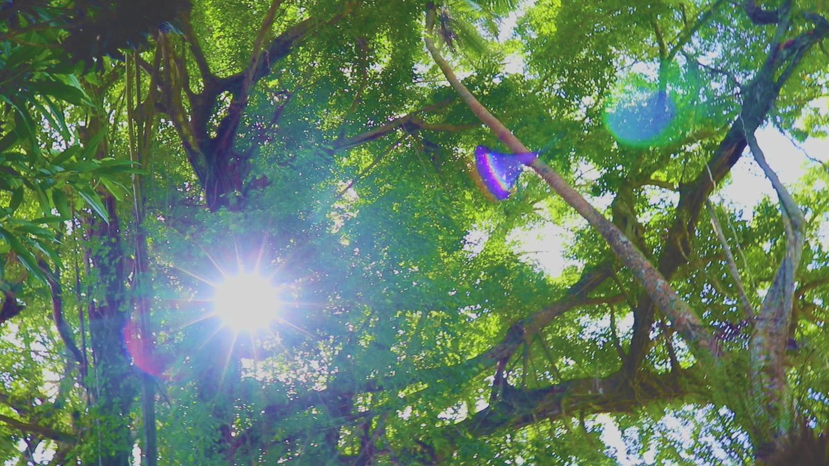 connorreid909's tweet image. New Music Video.
8/8/18.
#Fiji #Beqa #BeqaFiji #BeqaLagoon #Intro #MusicVideo #New