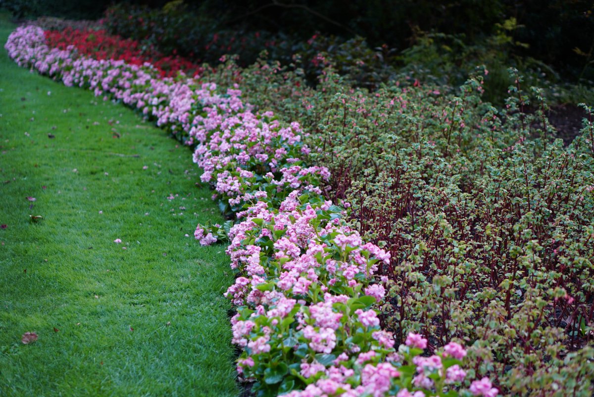 phenoglad1's tweet photo. 🌸 Bordaduras mistas nos Kensington Gardens, Londres / Kensington Gardens, London. 🌺

#GardenersWorld #gardening #garden #gardner #jardinagem #jardim #mygarden #urbanismo #natureza #revistanatureza  #mixedborders #London #arquitetura #paisagismo #floresparatodos #phenoglad https://t.co/Uz24R4Mu5u