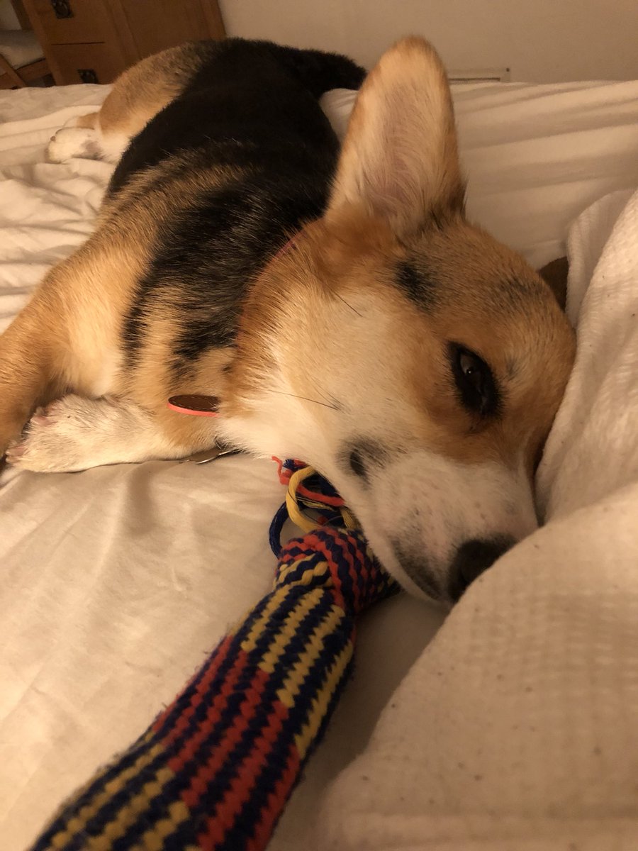 umbris monsters of etheria on Epicpokemonlord101 Epicpokemonlor1 Twitter