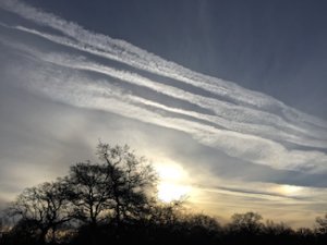 TrulyProgressiv's tweet image. @DaneWiggington is #TheDude!
#Jason warns abt #WEATHEReffects on #CA frm #Geoengineering- #USGovt #SprayingSHIT in t #SKIES
#ClimateChangeIsReal

#HeavyMetalsintheSKY #NoDiamonds?
#BariumIntheMorning? #AluminumAltzheimerConnect

#destroyingtheillusion vid
youtu.be/WvCBdE6rolk