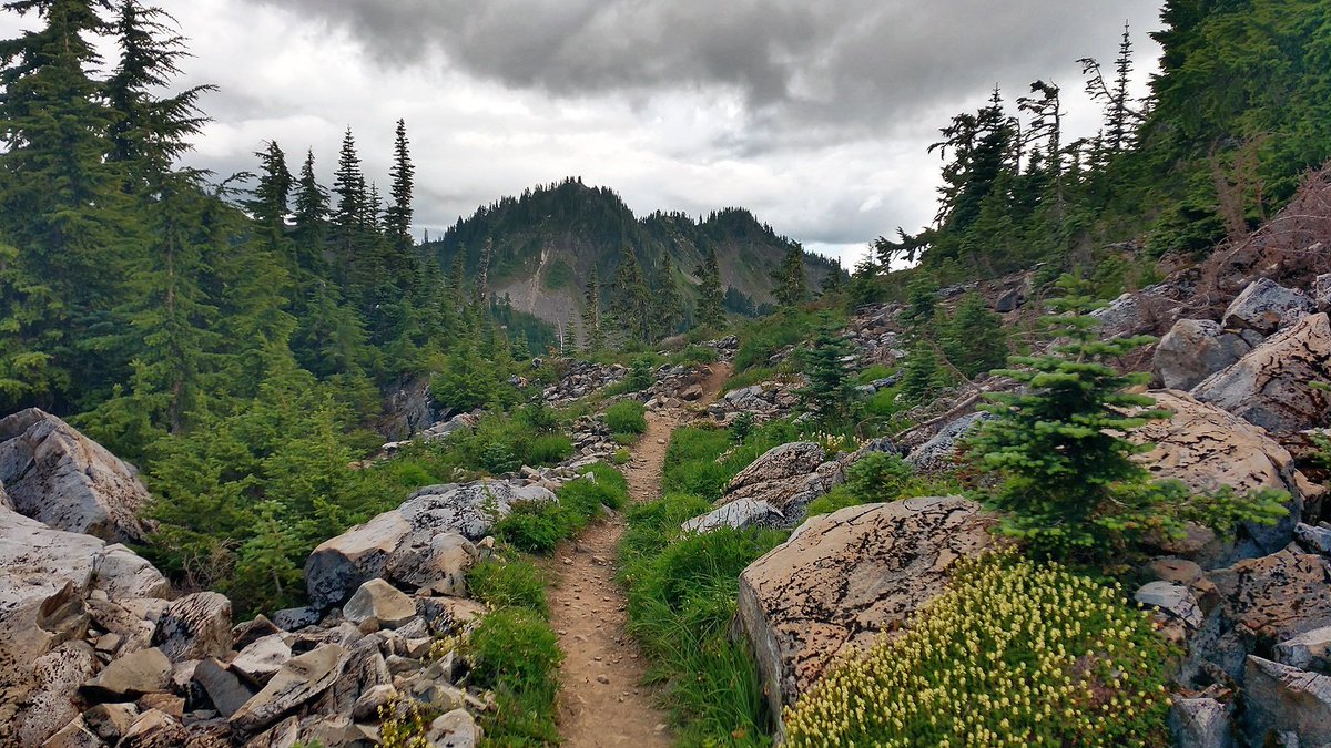 TKoutside's tweet photo. Just got back from a couple days up on the #HighDivide #OlympicNationalPark https://t.co/QJrLlBBn4A