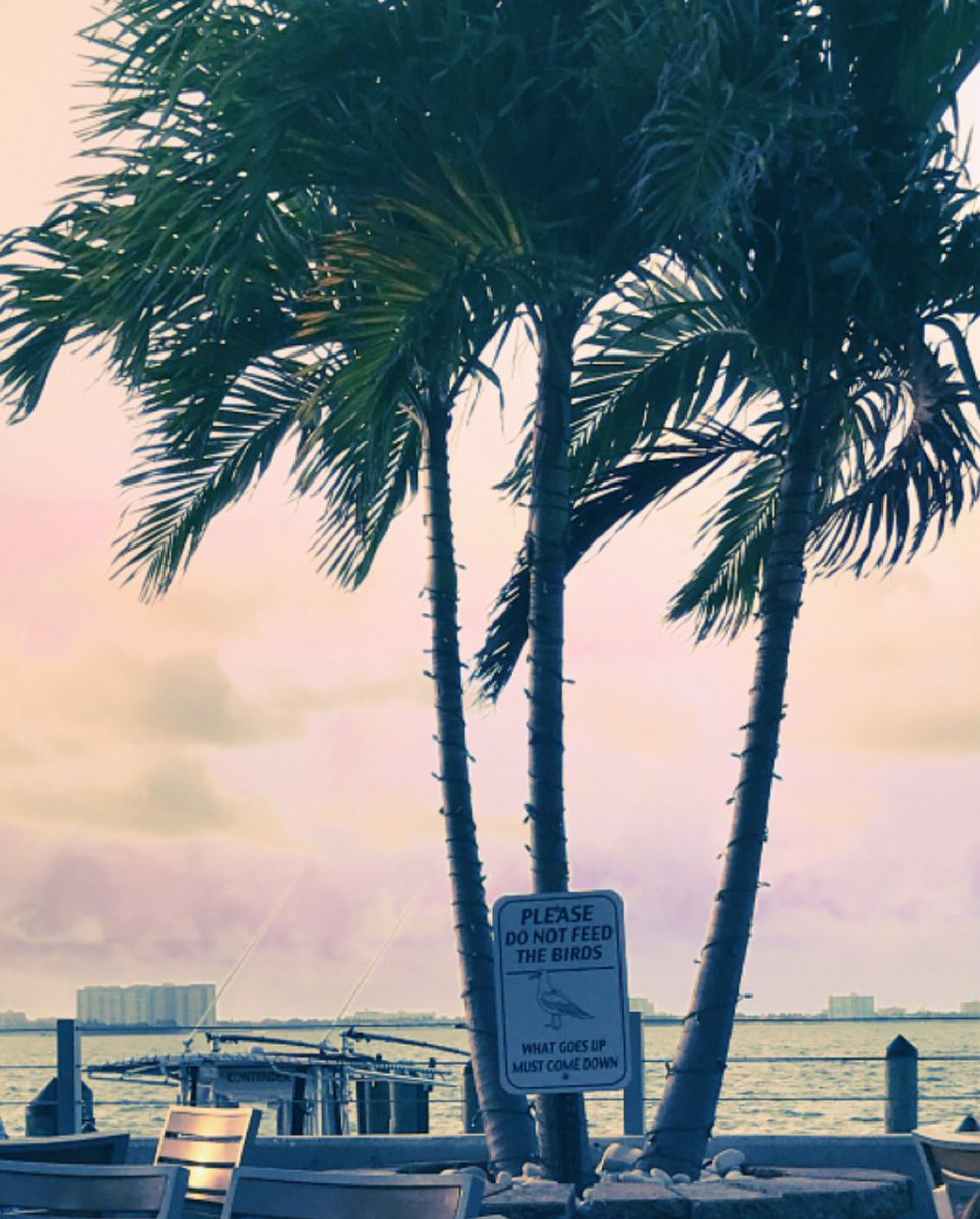 shelllbann's tweet photo. Miami🌊🌴 https://t.co/AWcJNXzoeT