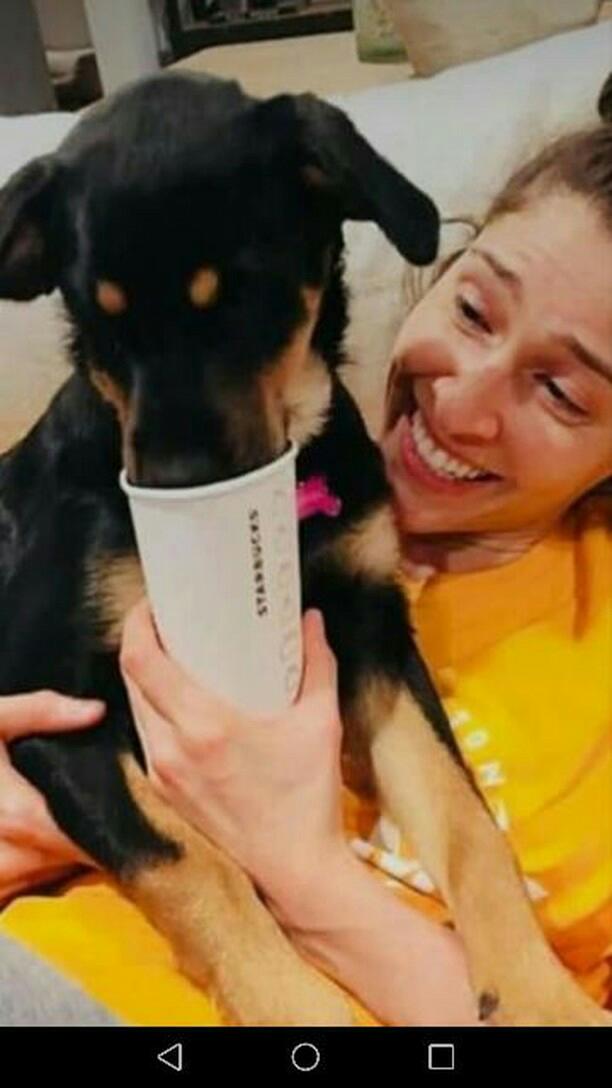 ConstanzaVR27's tweet photo. De adonde habrán sacado esta foto si las niñas no sabe subieron 😏🤔🤔 @haashoficial  quien será???  
Ashley por q eres tan bella  y sin maquillaje ufff una diosa 😍😍😍
#HaAsh  #KCAMexico https://t.co/OTJZBo5QTF
