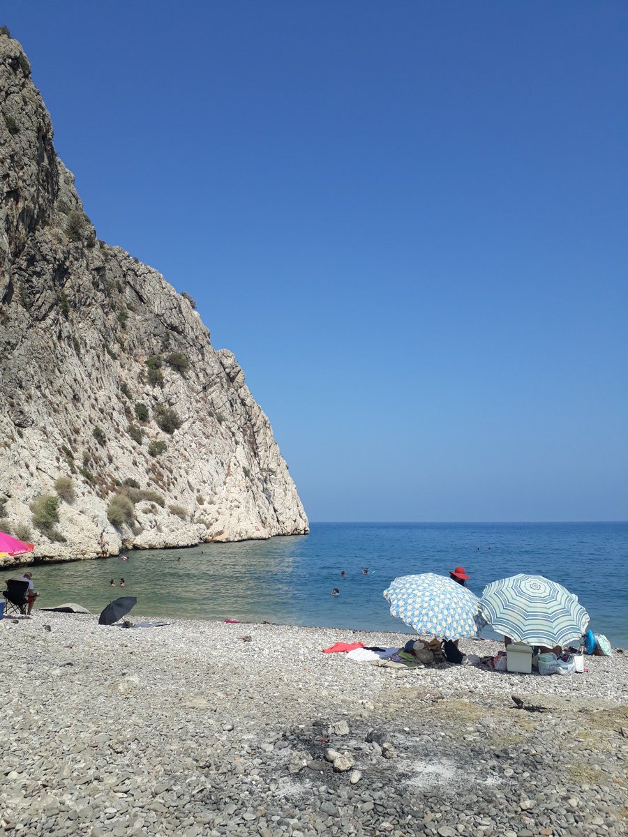 YeşilGöz tweet media