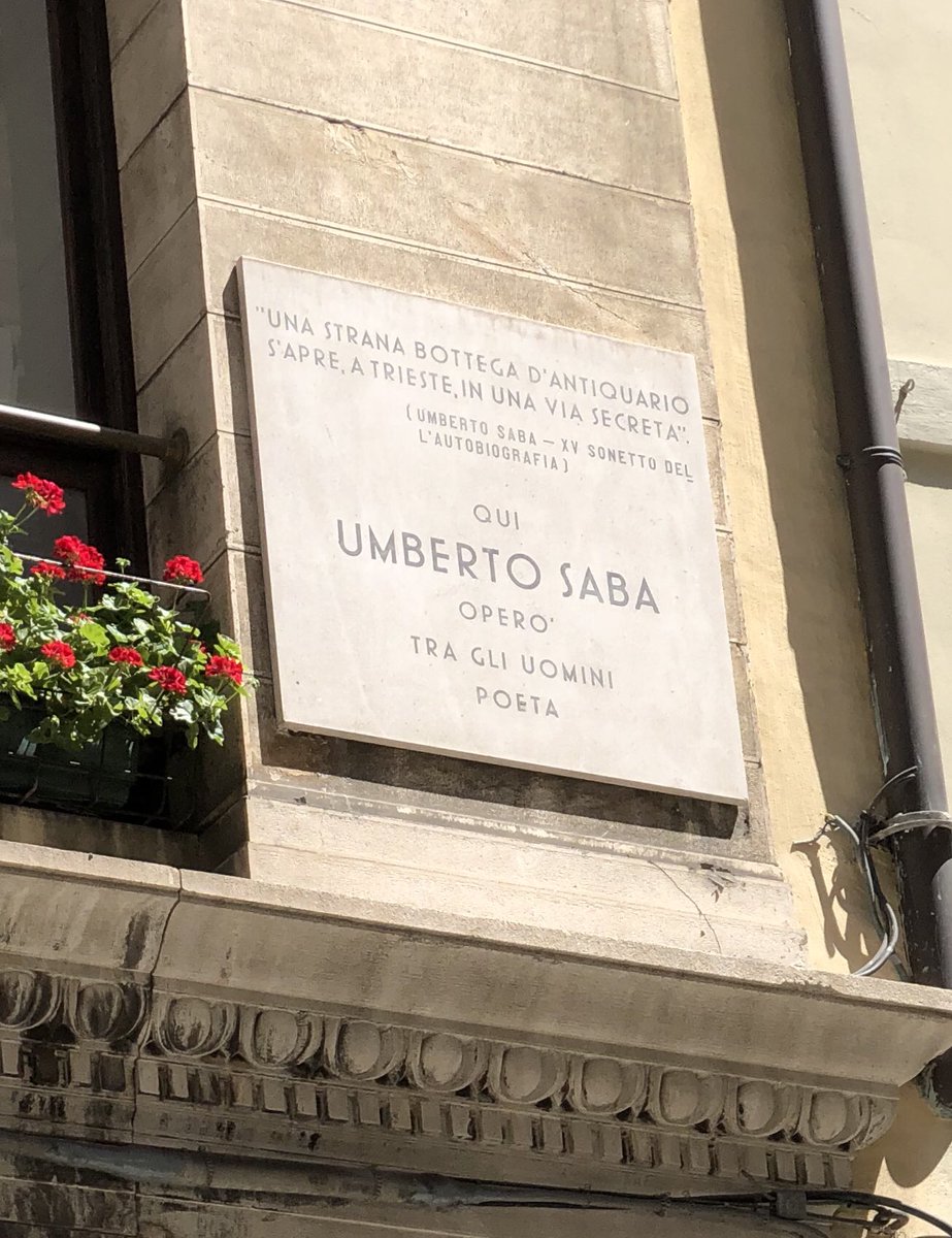 delishdd_perth's tweet photo. Day 7 • We just relaxing in Trieste as tomorrow we head to Florence •
..starting the day walking around the city .... . ...... xxx.. .. ...... xxx ... xx..
#italy #antoninis #italianholidays🇮🇹 #trieste #triesteitaly #debthomasperthaustralia @ Trieste, Italy https://t.co/TotWFx5Lvp