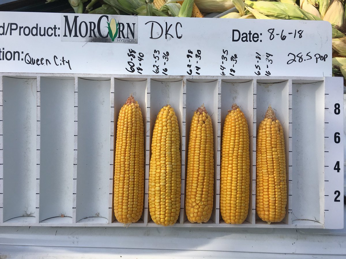 Scott Ballance tweet media