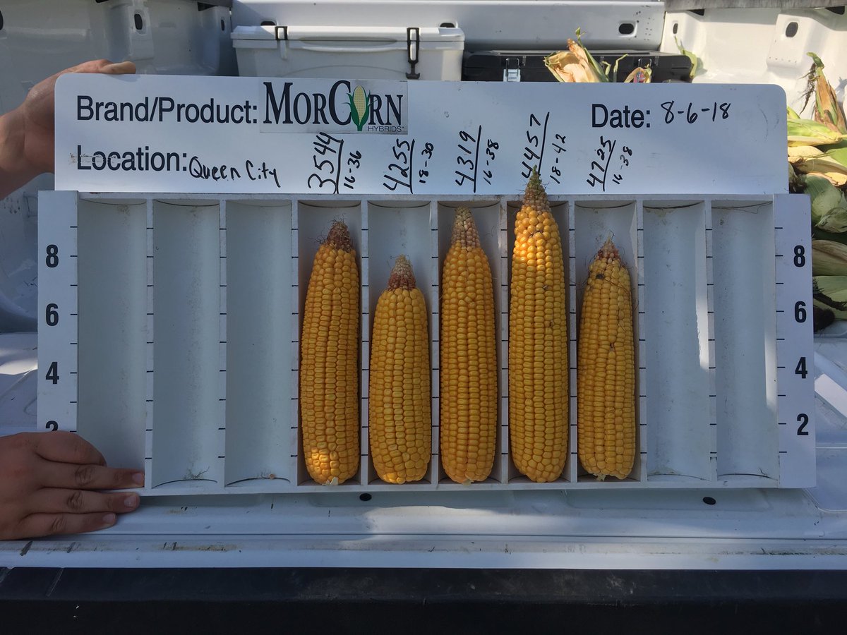 Scott Ballance tweet media