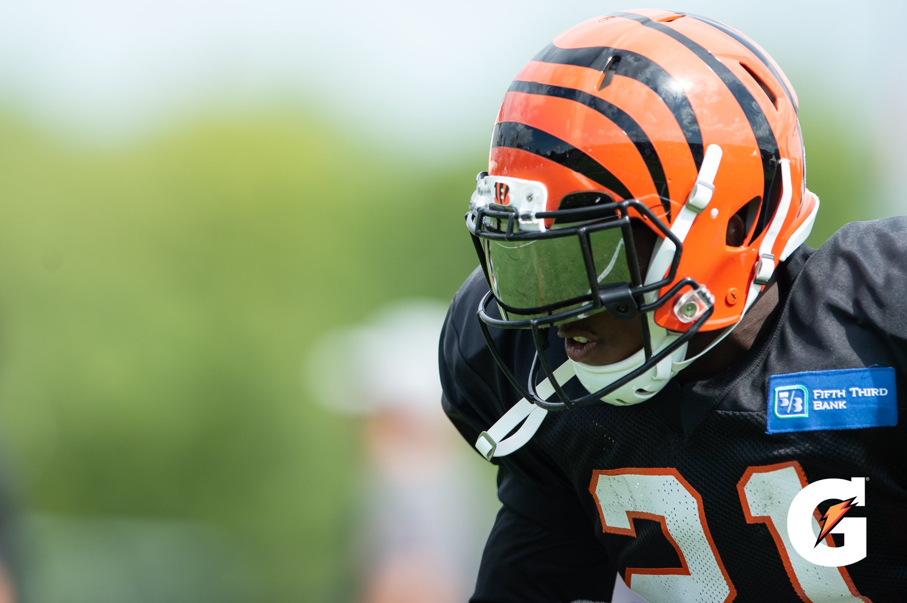 Cincinnati Bengals on Twitter "Pssst… IT�S GAME WEEK Cincinnati Bengals on Twitter "Pssst… IT�S GAME WEEK