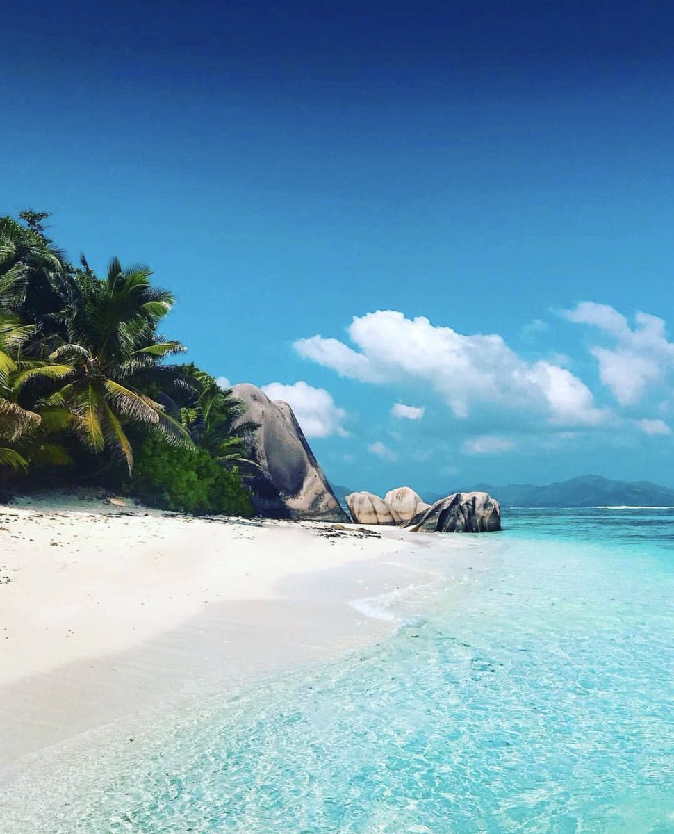 visual_supply's tweet image. Need the tropics in my life 🏝