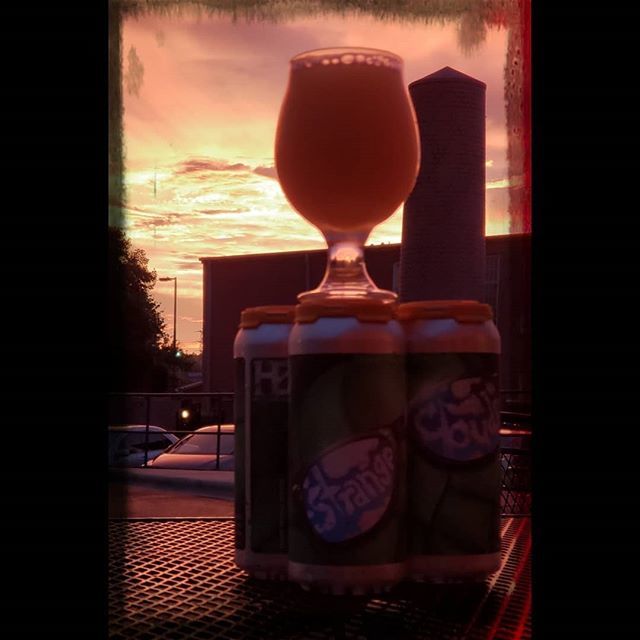 Brewing Charlotte tweet media