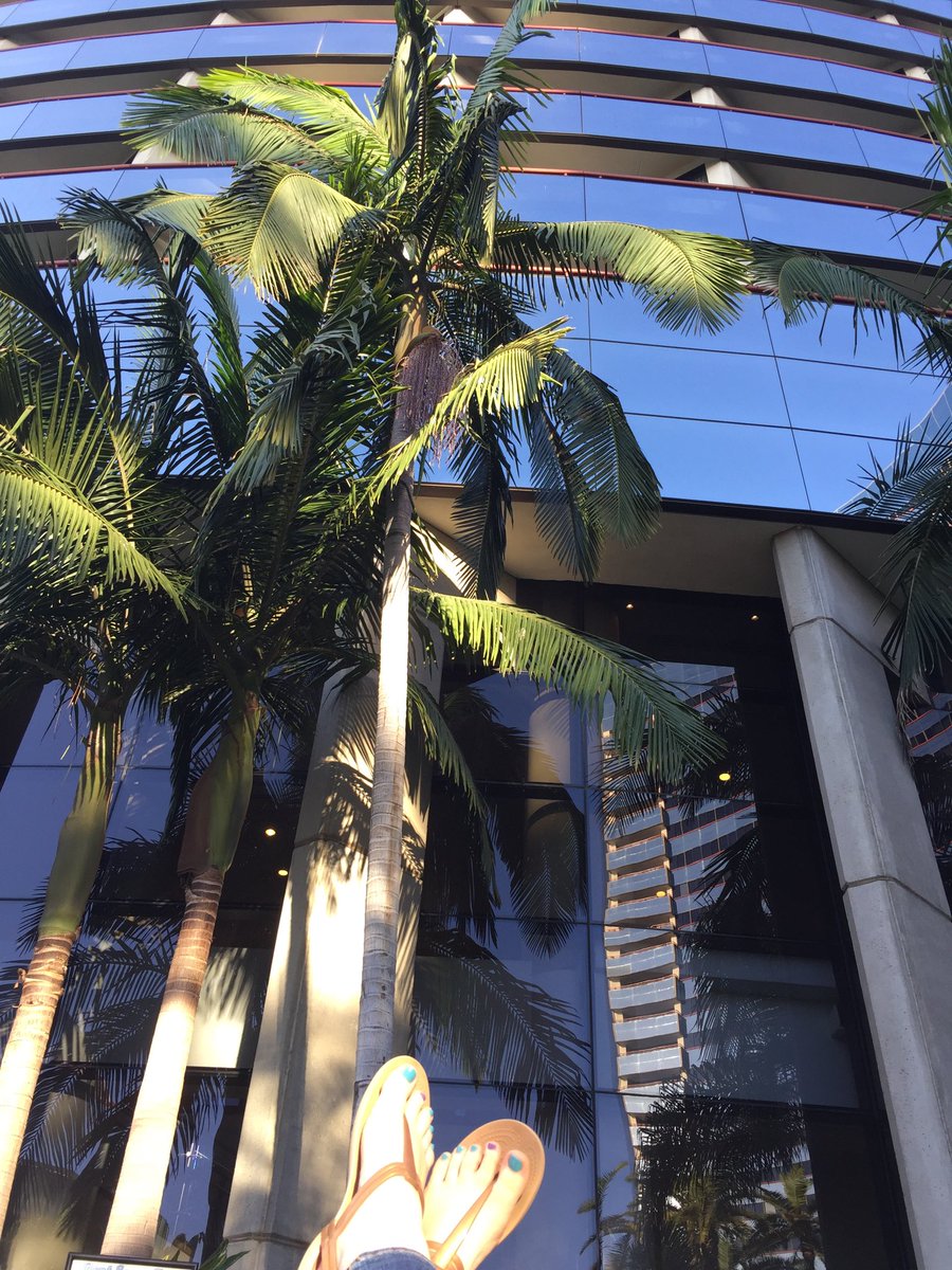 Resting after serving #purpleshirtpride