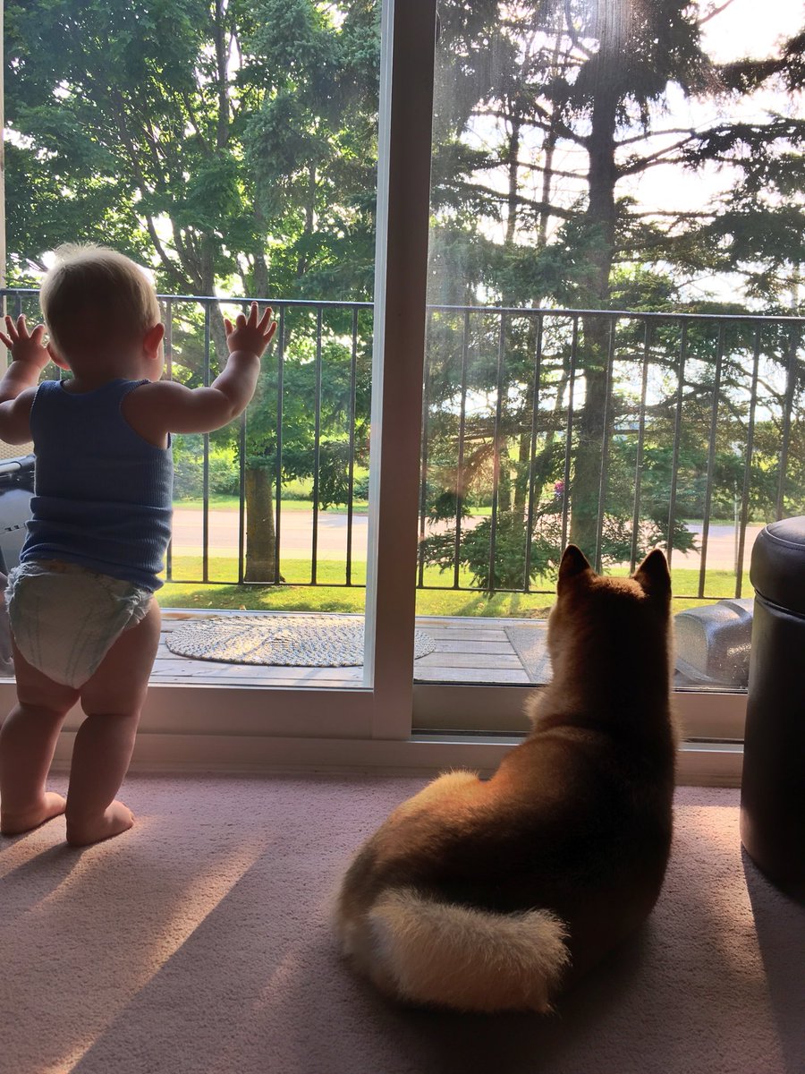 KimRobo07's tweet photo. Heat wave got us like : #pei #ac https://t.co/m7ATCTHqN4