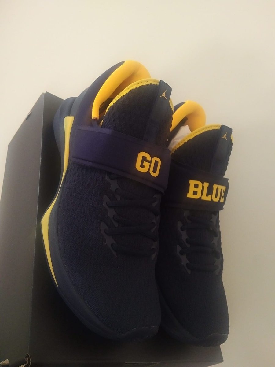 notre dame jordan shoes