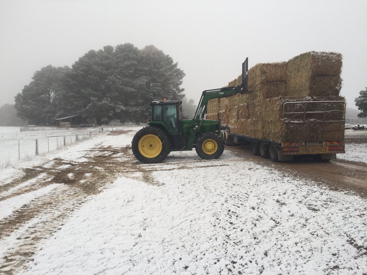 Another lovely August morning in Oberon #Oberon #godscountry